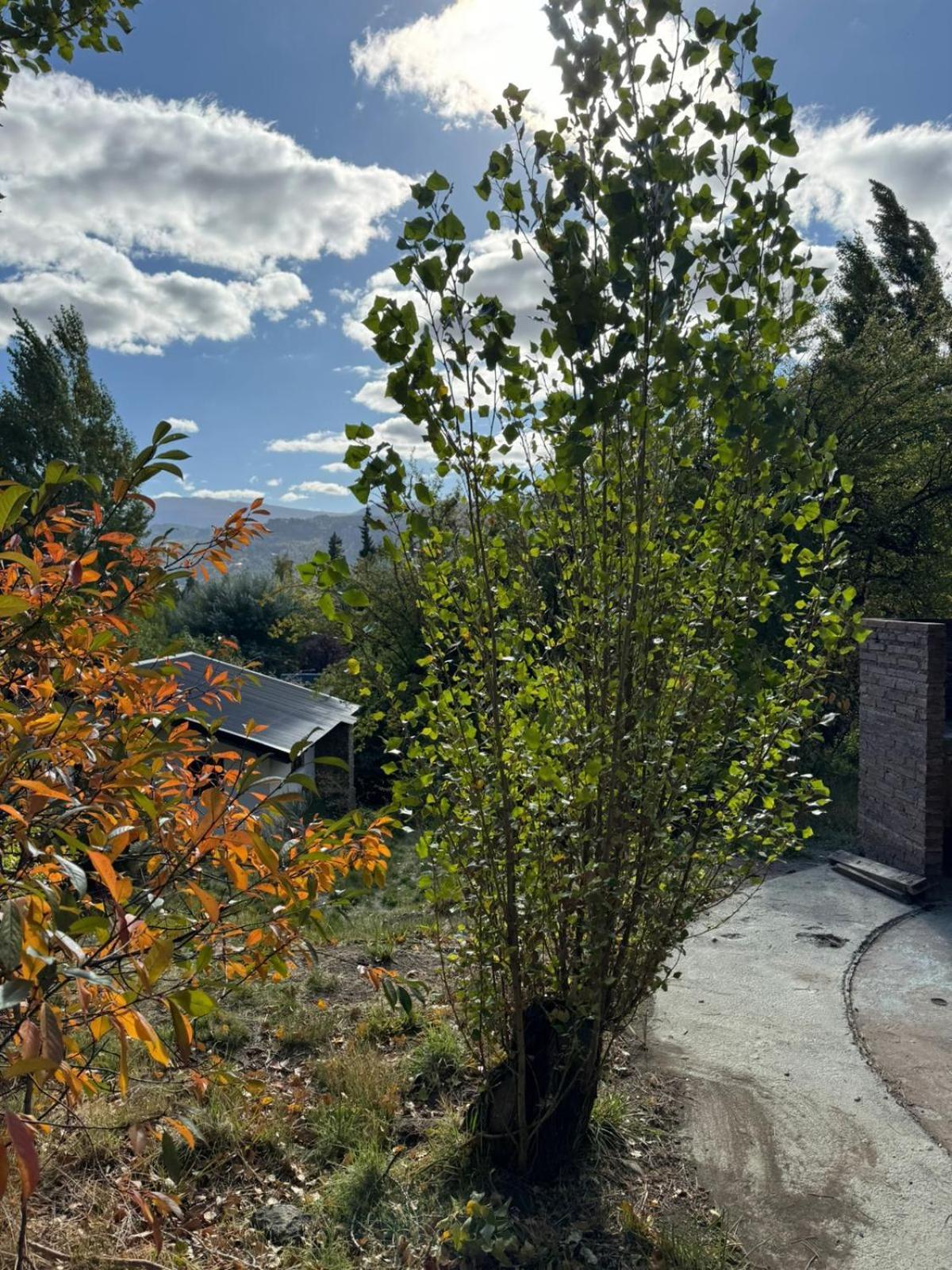 Willa Huilen De Bandurrias San Martín de los Andes Zewnętrze zdjęcie