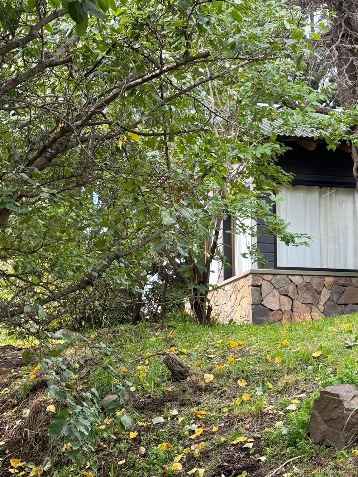 Willa Huilen De Bandurrias San Martín de los Andes Zewnętrze zdjęcie